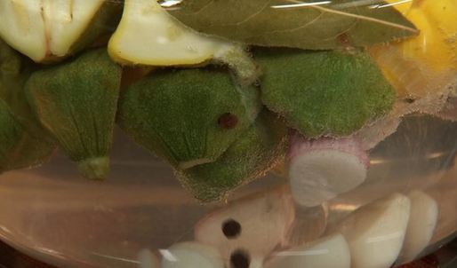 маринованные мини-патиссоны