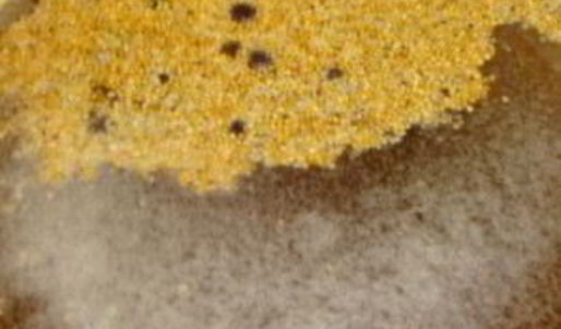 маринованные огурцы на зиму