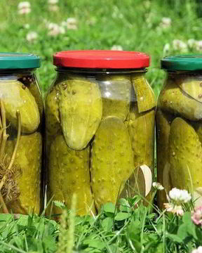 Маринованные огурцы с уксусом