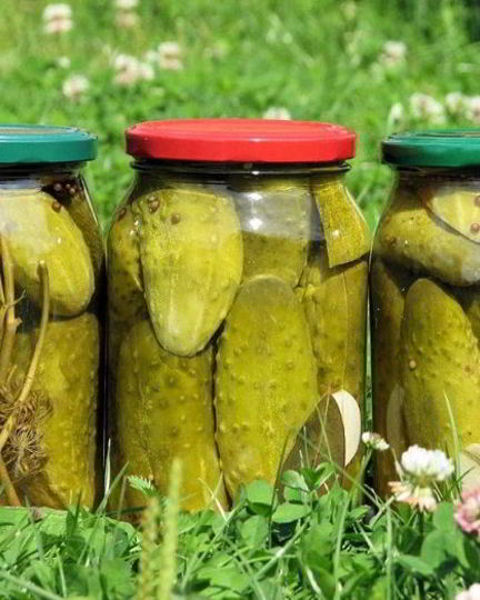 Рецепт маринованных огурцов с уксусом