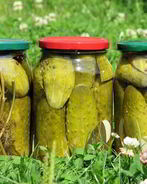 Маринованные огурцы с уксусом