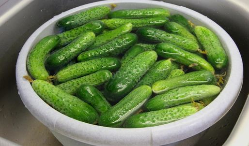 маринованные огурцы стерилизованные