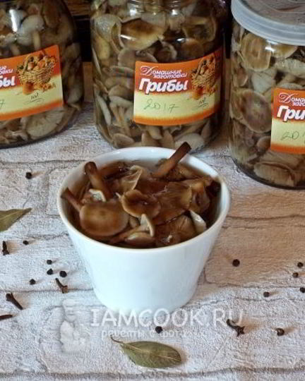 Рецепт маринованных опят бабушкины