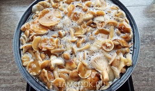 маринованные опята бабушкины