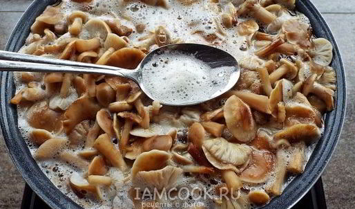 маринованные опята бабушкины