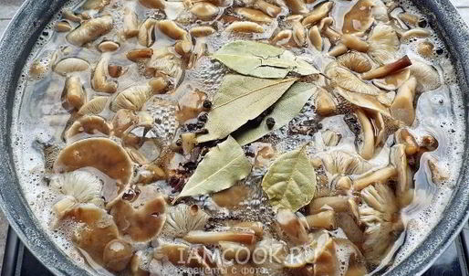 маринованные опята бабушкины