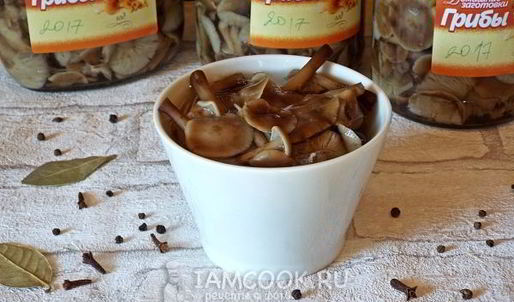 маринованные опята бабушкины