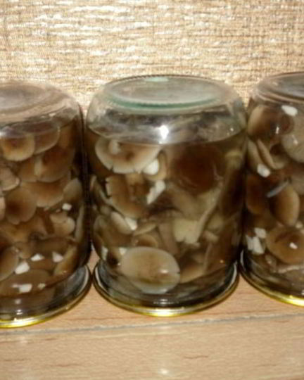 Рецепт маринованных опят с чесноком