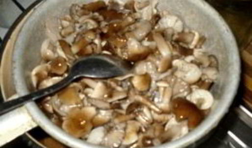 маринованные опята с чесноком