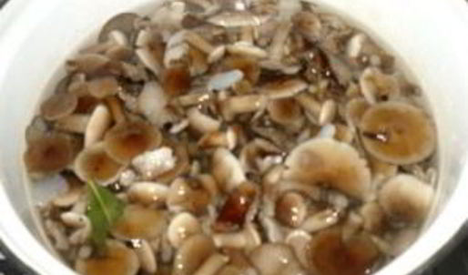 маринованные опята с чесноком