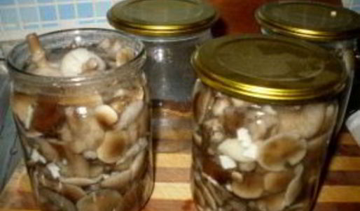 маринованные опята с чесноком