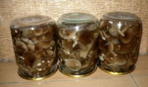маринованные опята с чесноком