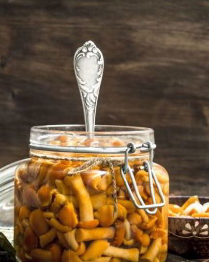 Рецепт маринованных опят