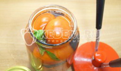 маринованные помидоры на зиму в банках с базиликом