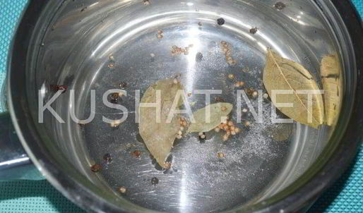 маринованные вешенки