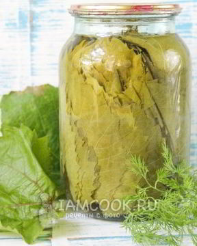 Маринованные виноградные листья на зиму