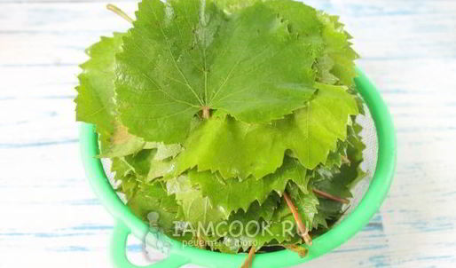 маринованные виноградные листья на зиму