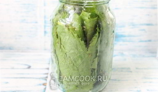 маринованные виноградные листья на зиму