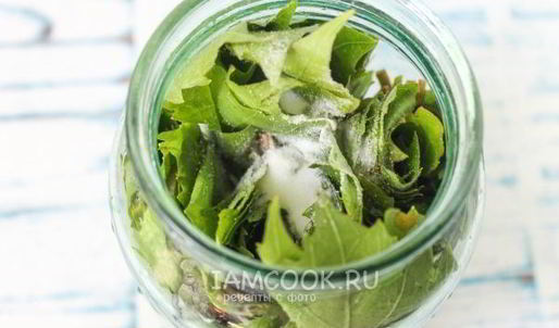 маринованные виноградные листья на зиму