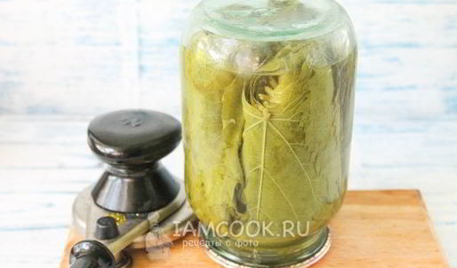 маринованные виноградные листья на зиму