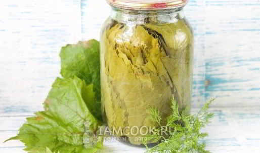 маринованные виноградные листья на зиму
