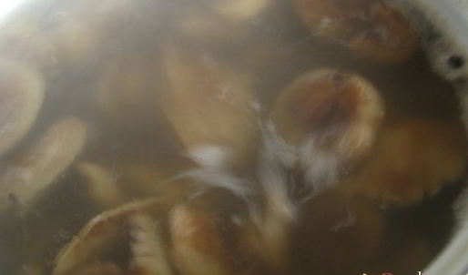 маринованные волнушки