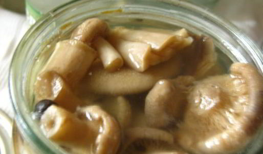 маринованные волнушки