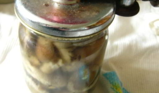 маринованные волнушки