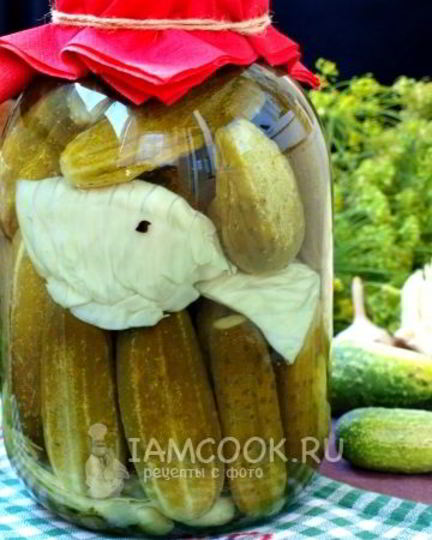 Рецепт огурцов, маринованных с капустой