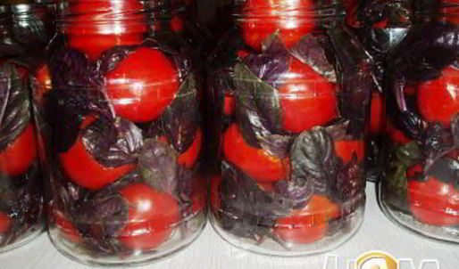 помидоры маринованные с базиликовым ароматом