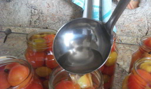 помидоры маринованные со сливой