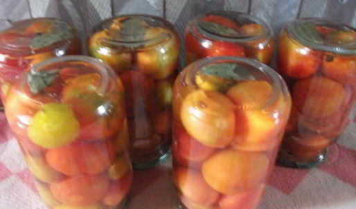 помидоры маринованные со сливой