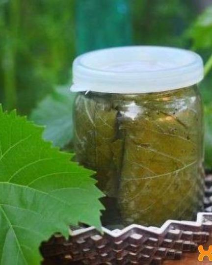 Рецепт виноградных листьев маринованных