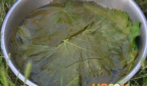 виноградные листья маринованные