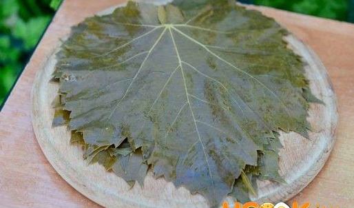 виноградные листья маринованные