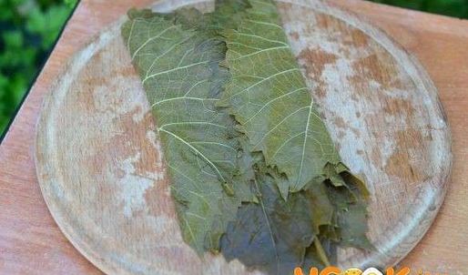 виноградные листья маринованные