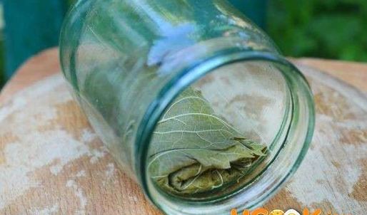 виноградные листья маринованные