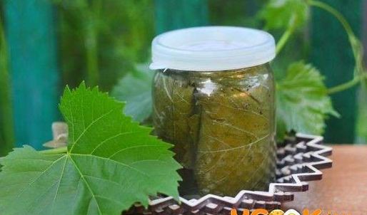 виноградные листья маринованные