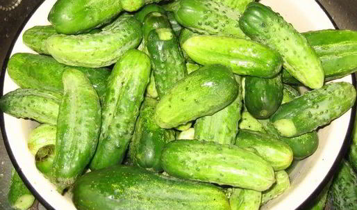 огурчики чили на зиму