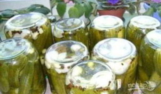 огурчики по-болгарски на зиму