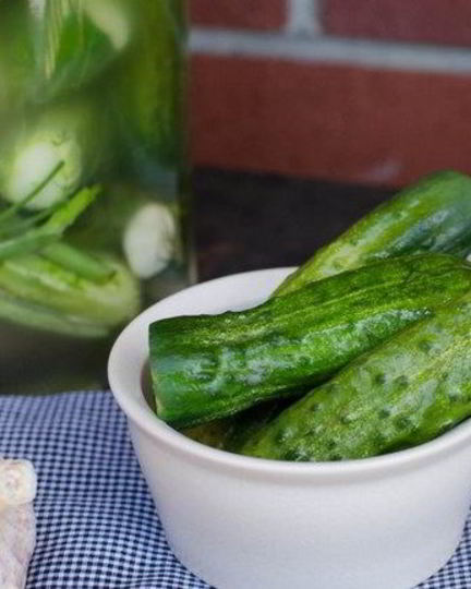 Рецепт быстрых малосольных огурцов в банке