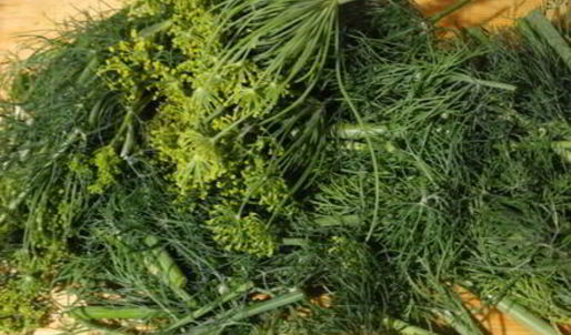 хрустящие малосольные огурчики