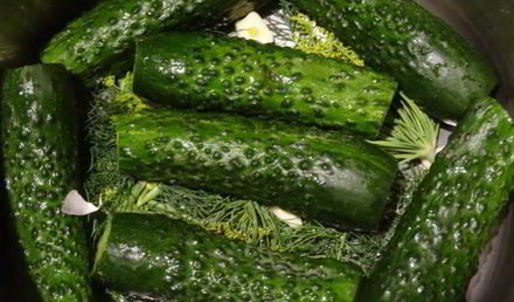 хрустящие малосольные огурчики