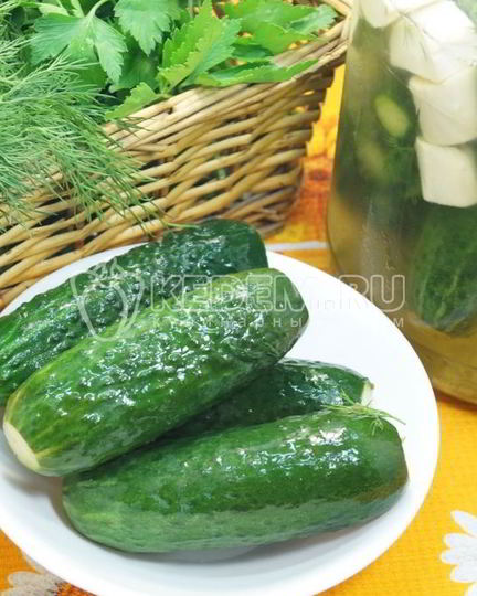 Рецепт хрустящих малосольных огурцов в банке