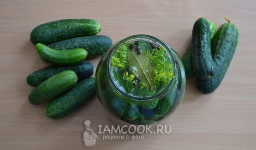 классические малосольные огурцы