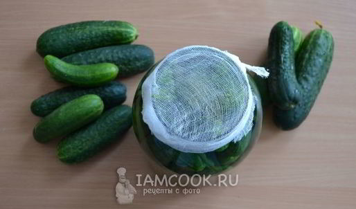 классические малосольные огурцы