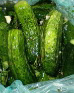 Малосольные огурчики без рассола