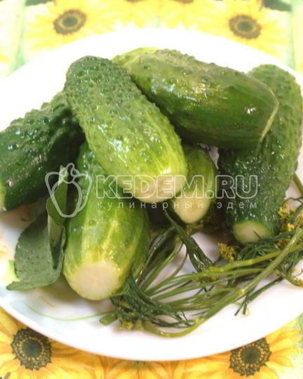 Рецепт малосольных огурчиков