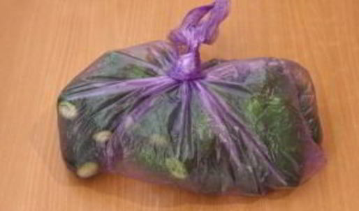 малосольные огурцы без рассола