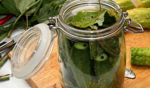 малосольные огурцы холодного засола